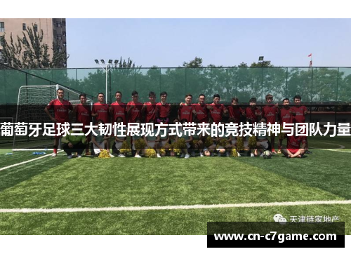 葡萄牙足球三大韧性展现方式带来的竞技精神与团队力量 葡萄牙足球三大韧性展现方式带来的竞技精神与团队力量